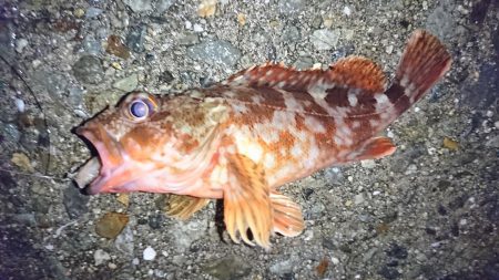 雨の日は、車横づけ置き竿で